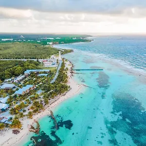 https://blue-cabanas.quintano-roohotels.com